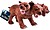 NN7975 : Peluche the noble...