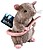 NN7977 : Peluche the noble...