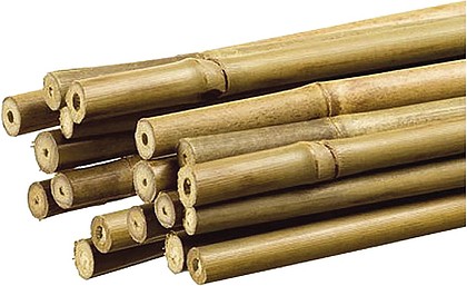 73693 TUTOR DE BAMBOO PARA PLANTAS 1, 1X150CM (venda multiplos 10 un...