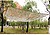 G-73166 : 73166 TOLDO CAMU...