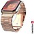 SS54972 : Swissten - Metal...