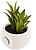 83204 MINI PLANTAS DECORAT...