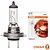 64210 : Lmpada H7 55W 12V...