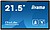 TW2223AS-B2 : iiyama ProLi...