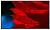 60005046 : NEC MultiSync M...