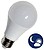 A60104KCREP : Lampada LED ...