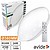 ACLO38RGBW-24<br />
W-ST : Apliqu...