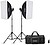 MS300VF : Godox KIT MS300V...