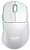 CX-M64W-WHITE : RATO BRANC...
