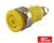 20-316-3 : Ficha Banana F...