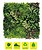 SG0010 : Sungarden Jardin ...