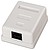 A1380296 : ROSETADESUPER<br />
FI...