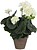 83167 GERNIO CREMA PVC EM...