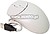 HP USB Scrolling Mouse (Lo...