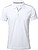 Polo Tecnic Barclex 100% P...