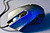 b-84370137995<br />
91 : RATO COO...
