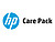 Electronic HP Care Pack Ad...