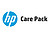 Electronic HP Care Pack Ne...